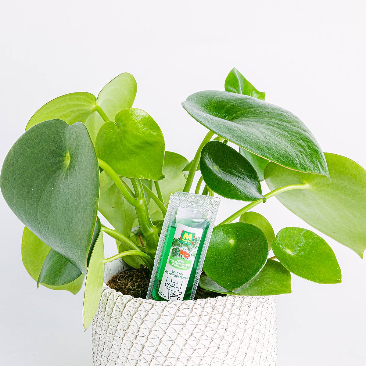 Abono líquido para Plantas Verdes picture 2