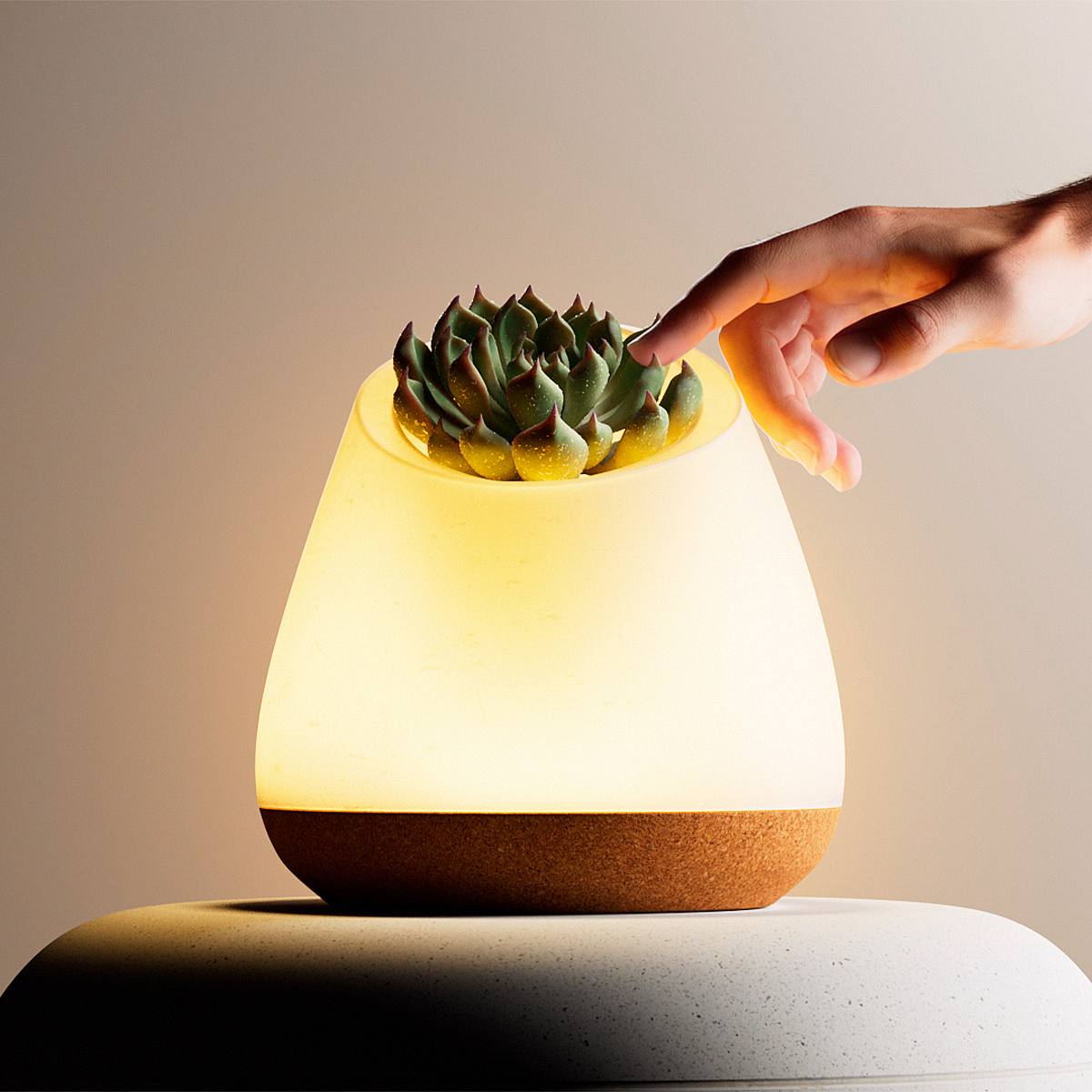 Bioo Lux - EcoGlow picture 0