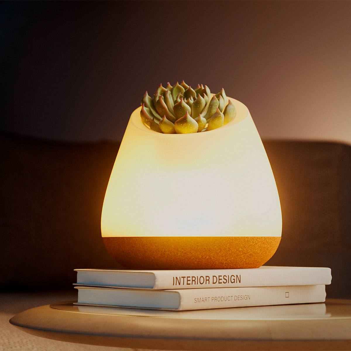 Bioo Lux - EcoGlow picture 1