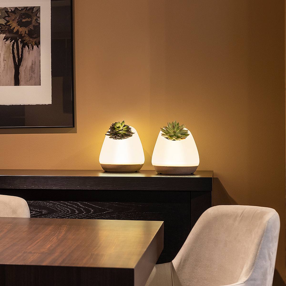 Bioo Lux - EcoGlow picture 4