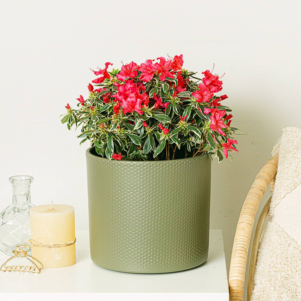 Jardinière Era Green- M/21cm picture 2