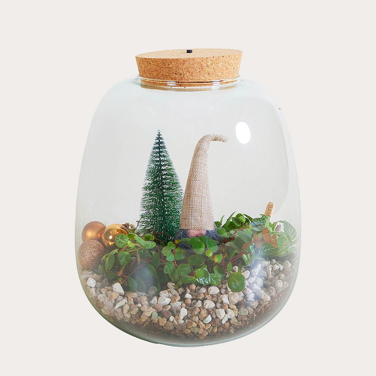 Winter Wonderland Terrarium DIY picture 0