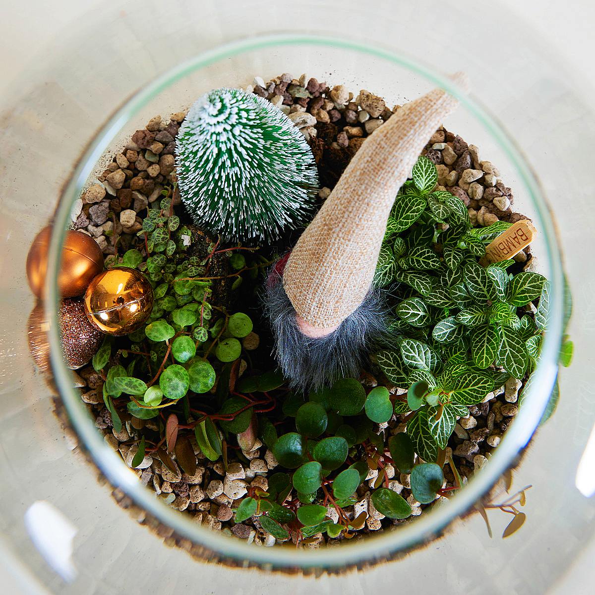 Winter Wonderland Terrarium DIY picture 1