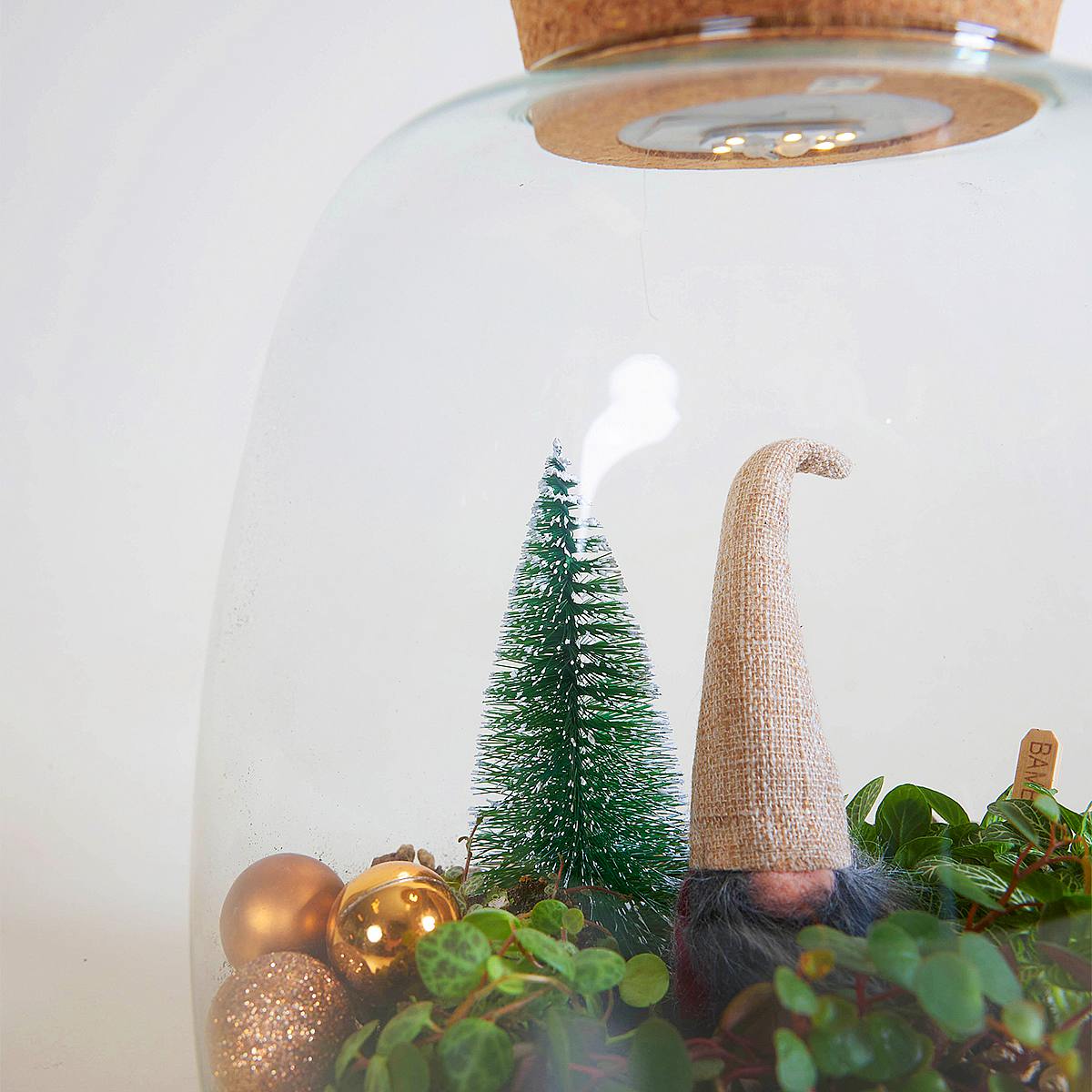 Winter Wonderland Terrarium DIY picture 3