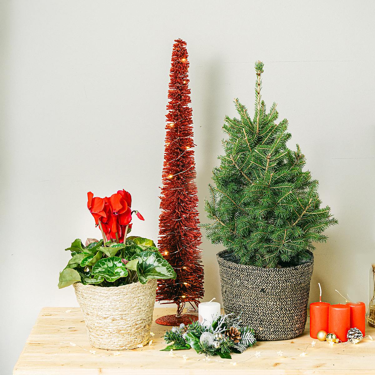 Set Holiday Delight picture 0