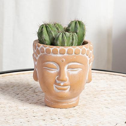 Macetero Buda XS con Cactus thumbnail 2
