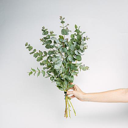 Eukalyptus-Bouquet thumbnail 1