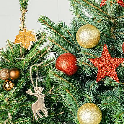 Dúo Esplendor Navideño thumbnail 1