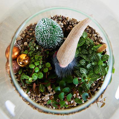 Winter Wonderland Terrarium DIY thumbnail 1
